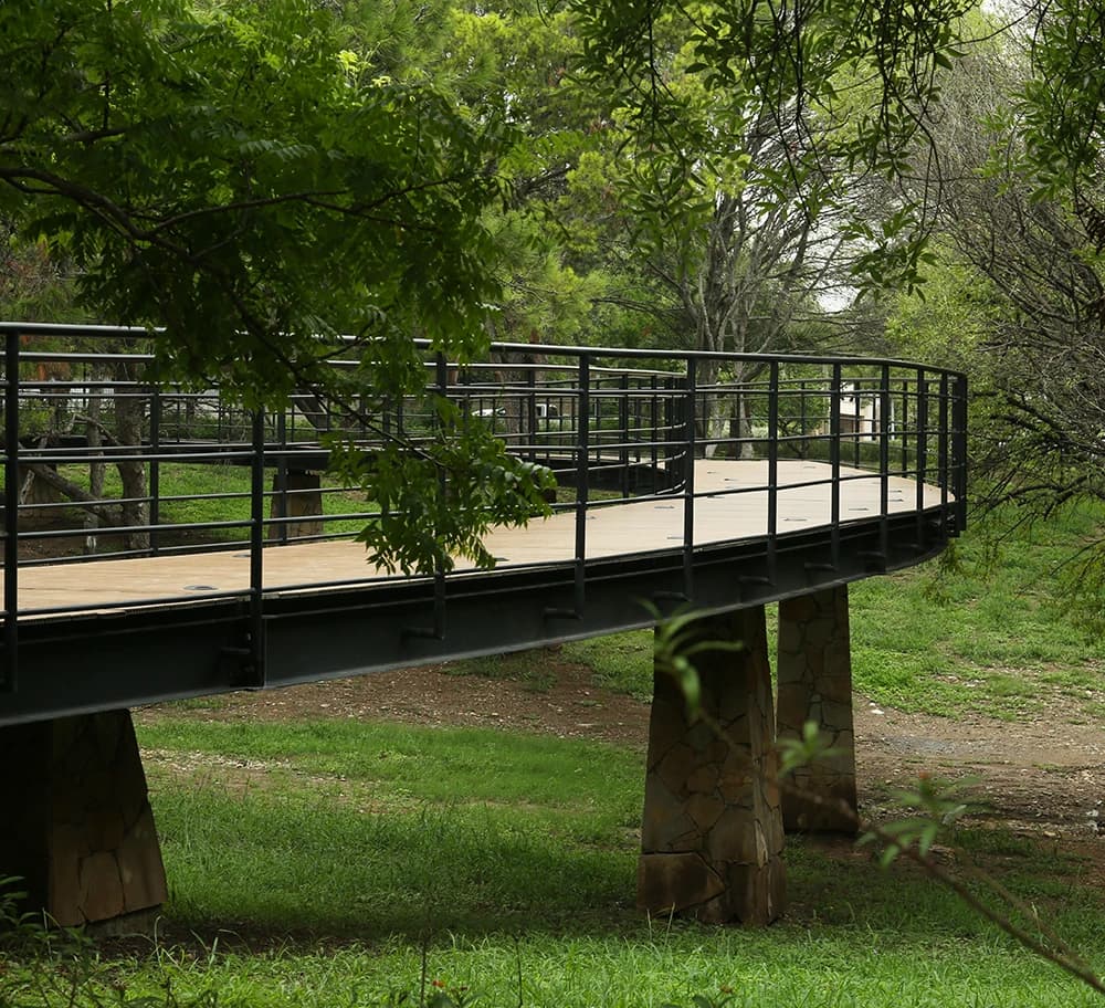 A finished walkway through a park